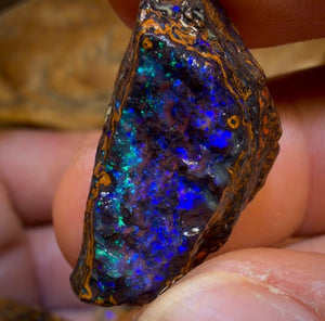 đ183,2 ct â 6x Rohopal aus Yowah-Nuss. Australischer Boulder-Opal.