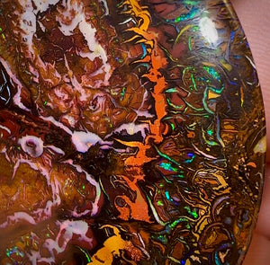 187.1cts - “Massive Big Boy Double Sided Picture Stone” Top Tribal Queensland Boulder Opal.