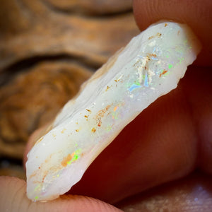 12.2cts - South Australian White Opal Rough Piece