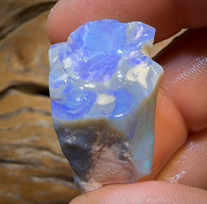 48.5cts - Lightning Ridge Opal Rough Piece