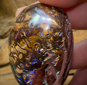 349.7cts - Yowah Nut Opal Polished Specimen. Tribal Pattern - Opal Whisperers