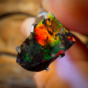 🔨 AUCTION 🔨 1.4cts - Queensland Boulder Seam Opal Rub