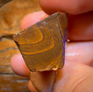 Wildcard! 98.1cts - Queensland Boulder Seam Opal Rough Specimen Piece