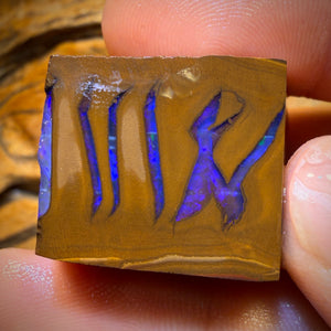 199.2cts - Found whilst Filming for Discovery Channel Duck Creek Boulder Opal Rough Preform