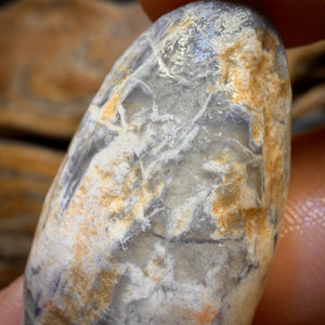 đš AUCTION đš 43.1cts - Opalised Shell Geological Specimen from South Australia. Featured on âOutback Opal Huntersâ!