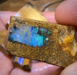 161.5cts - 5x Queensland Boulder Pipe Opal Rough Parcel BARGAIN