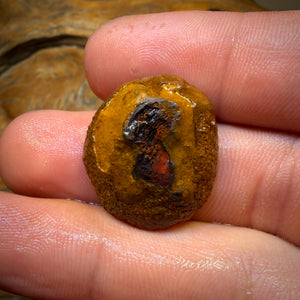 Awesome 🔨 AUCTION 🔨 Action 29.7cts - Yowah Nut Crystal Centre Opal Rough Half