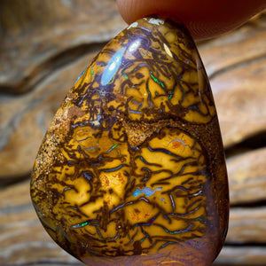 HDW 46.1cts - Tribal Queensland Boulder Opal. Australian Opal