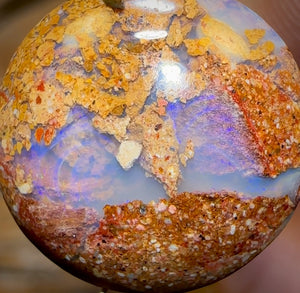 6.5cts - Solid Australian Boulder Pipe Opal BARGAIN