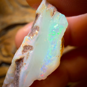 Wild Card! 42.1cts - Large South Australian White Opal Rough Piece