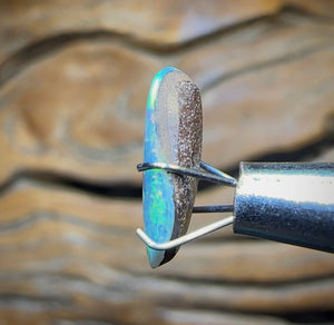 1.6cts - Opal Fossil Pipi Shell Australian Boulder Doublet - Opal Whisperers