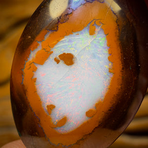 24.5cts - Rare Yowah Nut Crystal Centre Opal. Australian Boulder Opal