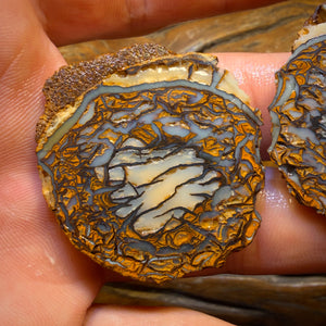 Wildcard! 112.8cts - Yowah Nut Tribal Opal Rough Specimen Pair