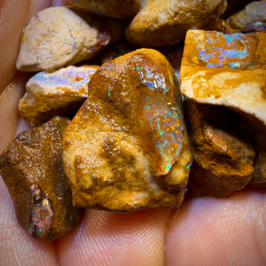 🔒451.1cts - 35x Opalised Wood/Vegetation Fossil Rough Parcel from Yowah