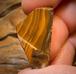 41.5cts - Queensland Boulder Seam Opal Rub