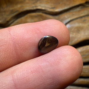 1.5cts - Queensland Boulder Seam Opal. Australian Opal