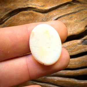 Wild Card! 13.1cts - South Australian White Opal from Coober Pedy
