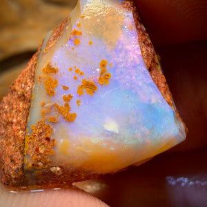 27.7cts - Boulder Pipe Opal Rough Piece. Australian Opal