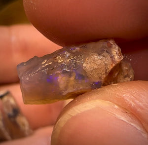 24.1cts - 9x Opalised Fossil Geological Specimens from Lightning Ridge