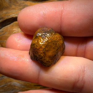 37.1cts - Yowah Nut Crystal Centre Opal Rough Piece