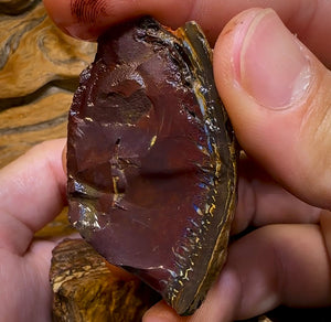 400.4g- 5x Large Queensland Boulder Opal Rough Pieces - Opal Whisperers