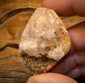 243.8cts - Rare Polished Tribal Yowah Nut Opal Geological Specimen with Gypsum