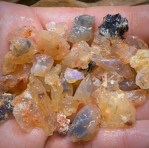 🔨 AUCTION 🔨 145.9cts - 50x Opalised Fossil Geological Specimens from Lightning Ridge