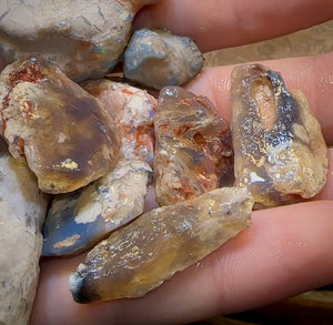 300.5cts - 13x Lightning Ridge Fossil Replacement Opal Rough Parcel Under $2/Ct - Opal Whisperers