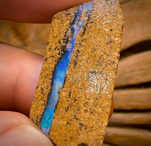Bargain card! 85.1cts - 2x Queensland Boulder Pipe Opal Rough Pieces
