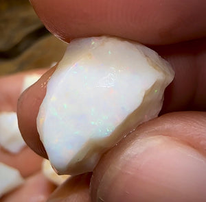 (Template) 98.3cts - 7x South Australian White Opal Rough Pieces - Opal Whisperers