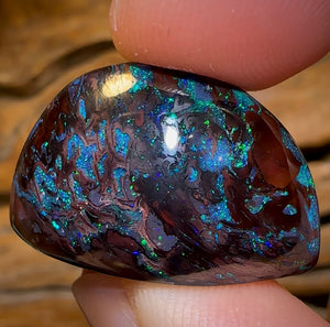 41.1cts - Tribal Koroit Nut Opal Specimen. Double Sided Rare Half Polished Nut - Opal Whisperers