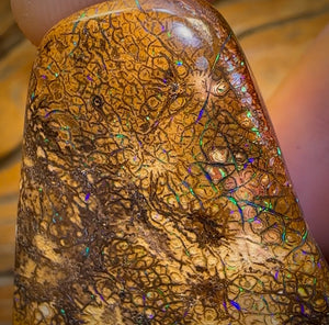 282.5cts - Intricate Tan Tribal Queensland Boulder Opal. Polished Specimen