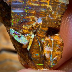 37.2cts - Vegetation Fossil Replacement Boulder Opal Rough Piece