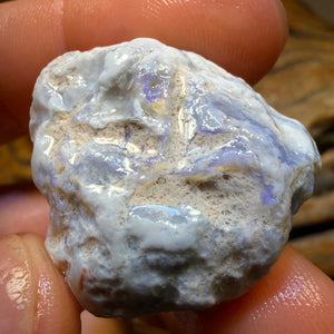 256,7 Karat – 3x Lightning Ridge Opal-Rohsteine