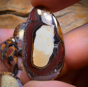 🔒 160.3cts - 5x Australian Tribal Boulder Opal’s. Wholesale Dealers Parcel