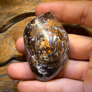 448.4cts - “To Cut or Not To Cut” Yowah Nut Kernel Opal. Polished Specimen
