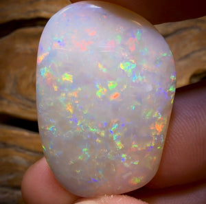 40.9cts - Large Olympic, South Australian White Opal