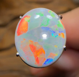 2.6cts - Australian Semi Black Opal from Lightning Ridge Flag / Harlequin type Pattern - Opal Whisperers