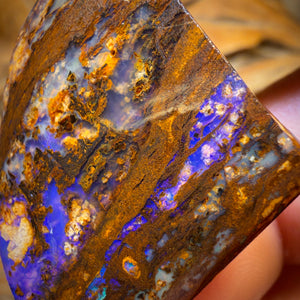 52.6cts - Vegetation Fossil Replacement Boulder Opal Rub. Double Sided!