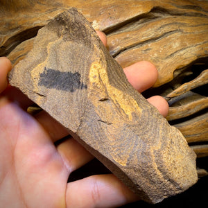 1347cts - LARGE Queensland Boulder Seam Opal Rough Specimen