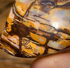 58.6cts - Australian Boulder Wood Fossil Opal Cathedral Type Pattern