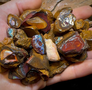 261.8g - 29x Yowah Nut Rough Pieces. Australian Opal With Kernel Crystal Centres. Less than $1/ct - Opal Whisperers