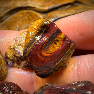 🔨 AUCTION 🔨 465cts - 11x Yowah Nut Rough Opal Parcel. Australian Boulder Opal