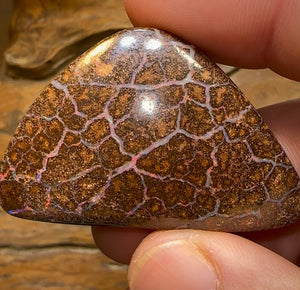 124.2cts - Large Queensland Boulder Opal. Multicolours - Opal Whisperers