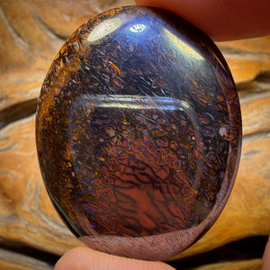 101.4cts - Big Tribal Yowah Nut Opal. Double Sided Bargain