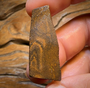 “Snow Reef” 33.6cts - Queensland Boulder Seam Opal Rub