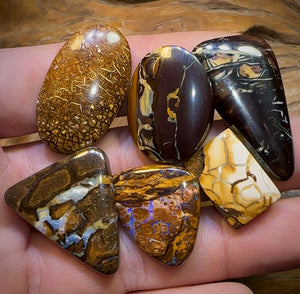 🔒154.9cts - 6x Finished Queensland Boulder Opal Dealers Parcel