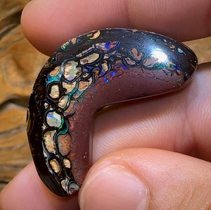 59.8cts - “Tribal Boomerang” Koroit Opal. Double Sided - Opal Whisperers