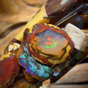 83.9cts - Jar of Yowah Nut Opal Rough w/ Fossil Opal