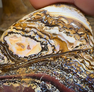 544cts - Yowah Tribal Australian Boulder Opal Specimen Polished - Opal Whisperers